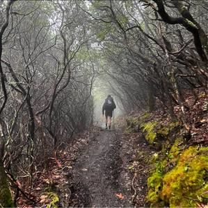 Meet your Posher, Jeremy